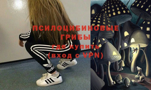 мяу мяу мука Арсеньев