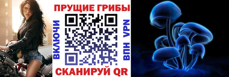 дарнет шоп  Ишим  OMG как зайти  darknet формула  Псилоцибиновые грибы Psilocybe 